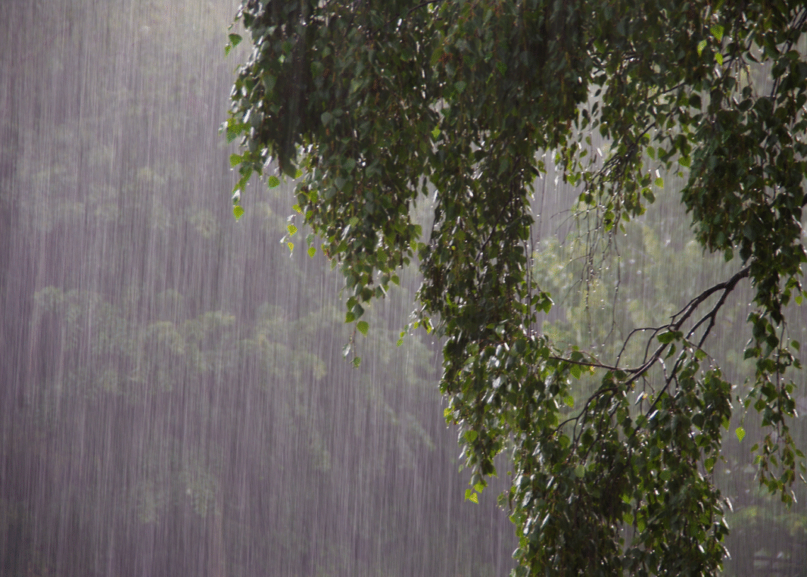Langit Mengirim Sinyal: BMKG Ingatkan Hujan Lebat Menanti di Beberapa Wilayah Indonesia